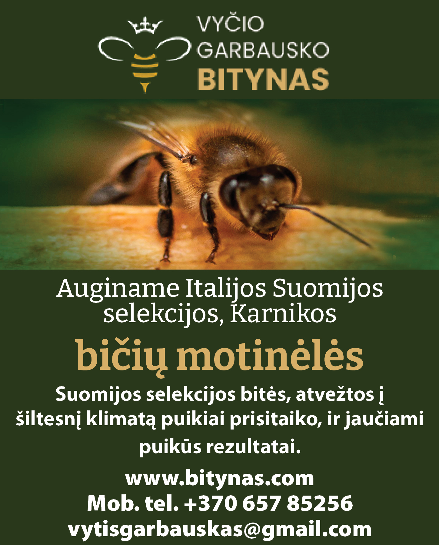 bitynas.com
